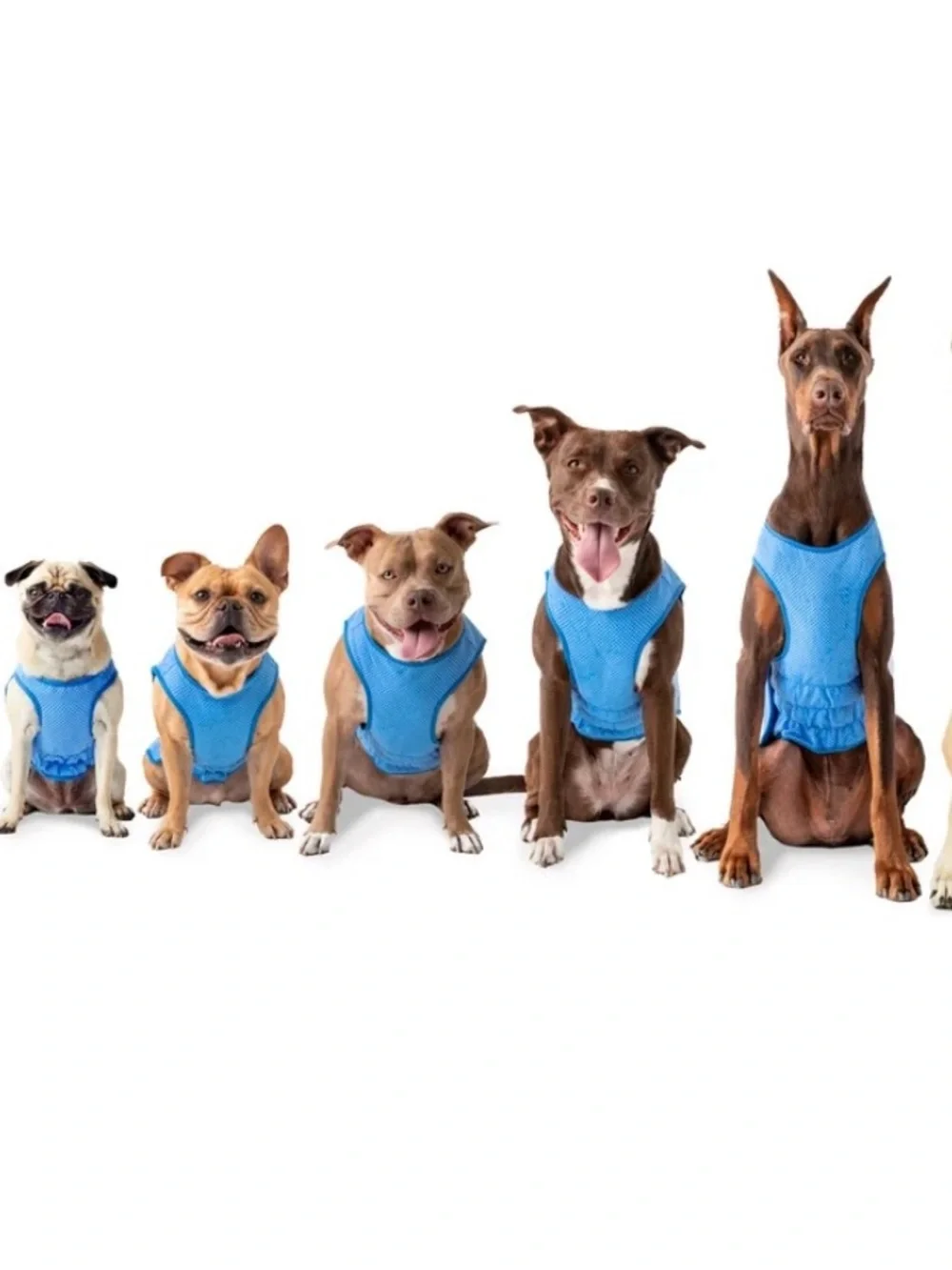 GF Pet Ice Vest Cooling Dog Harness - Blue